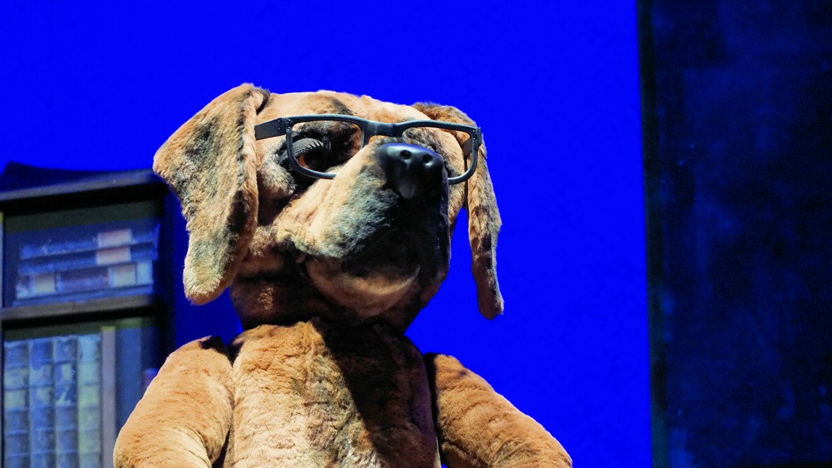 O Fotomagazin / Martin Rtter Show nachSITZen 2015